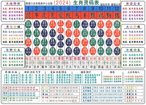 六合彩生肖号码|2024 (龙年)号码统计器